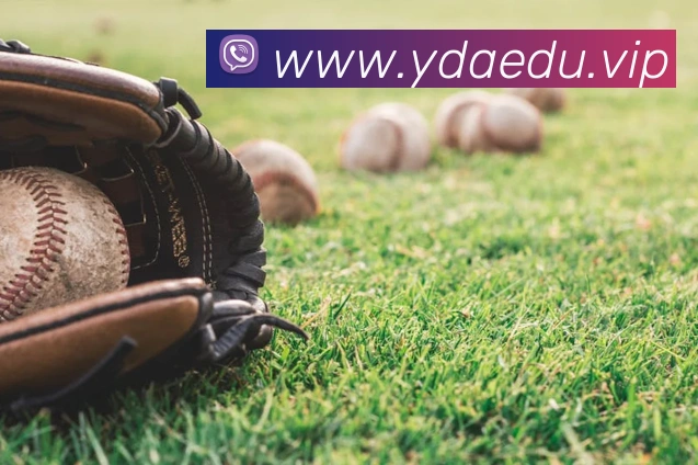 新半岛官网APP 体育赛事宣传图